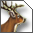 Deer Captor