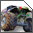 Monster Jam: Urban Assault