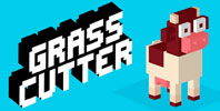 Grass Cutter