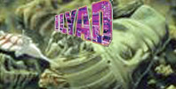 Ilyad