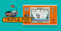 Tropical Fish