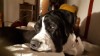 Martahariii