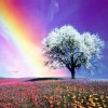 Rainbow Power