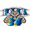 Puma#34